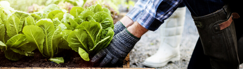 gardening benefits for arthritis